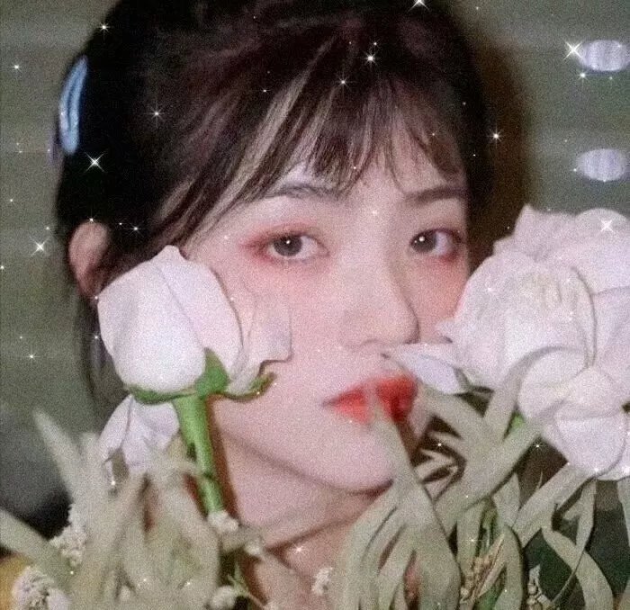 金牌女仵作之阴阳法尺